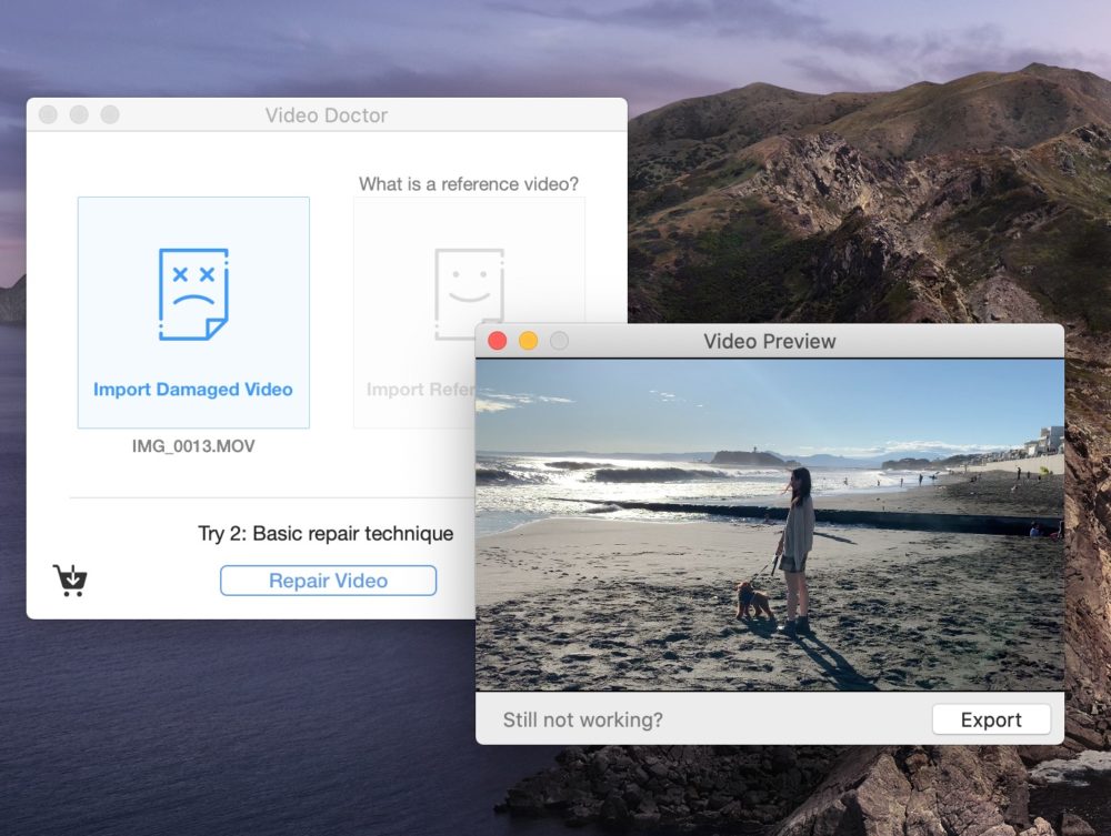 Video Doctor 1 6 0 壊れた動画ファイルを修復できる かもしれない ツール 新しもの好きのダウンロード